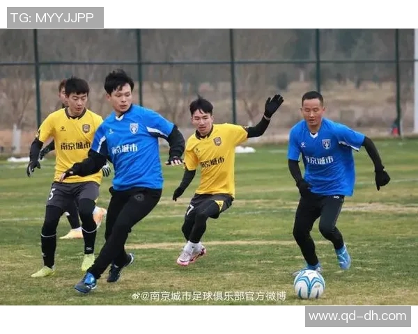 南京足球队技术争议引发热议球迷与专家各抒己见探讨战术与表现